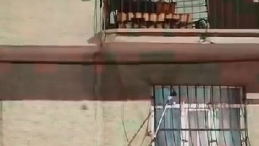 Penceredeki Yılan Paniğe Neden Oldu
