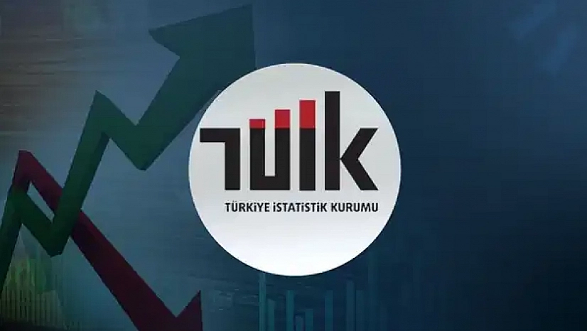 TÜİK 2025 Aile İstatistikleri Açıklandı: Elazığ 'Tek Ebeveynli Aile' Oranında Zirveyi Zorluyor