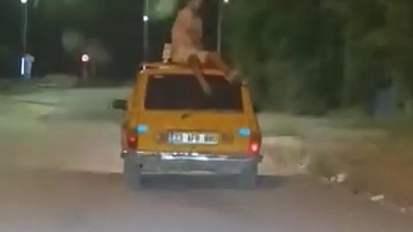 Canını Hiçe Saydı, Aracın Tavanında Seyahat Etti