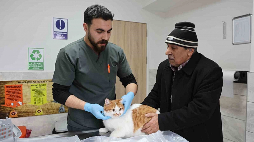 Tarihi Fakülte Hastanesinde 9 Bin 600 Hayvana Şifa