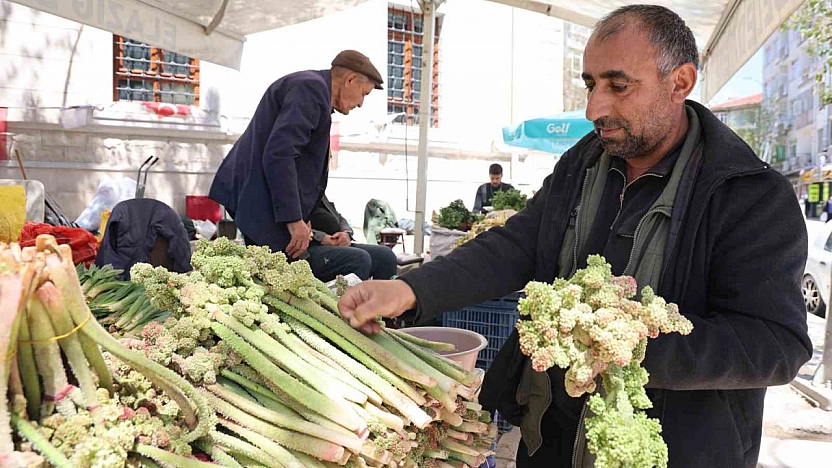 Doğu'nun Şifalı Bitkisi Işkın Tezgahlarda