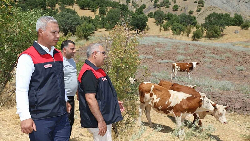 Elazığ'da 'Kırsalda Bereket, Hayvancılığa Destek Projesi' Devam Ediyor