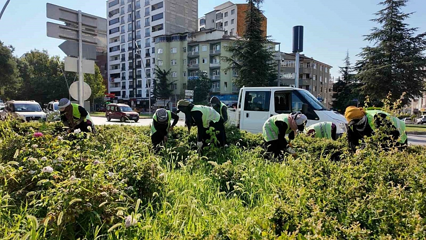 Elazığ'da Belediye Ekipleri Sahada: Çalışmalar Sürüyor