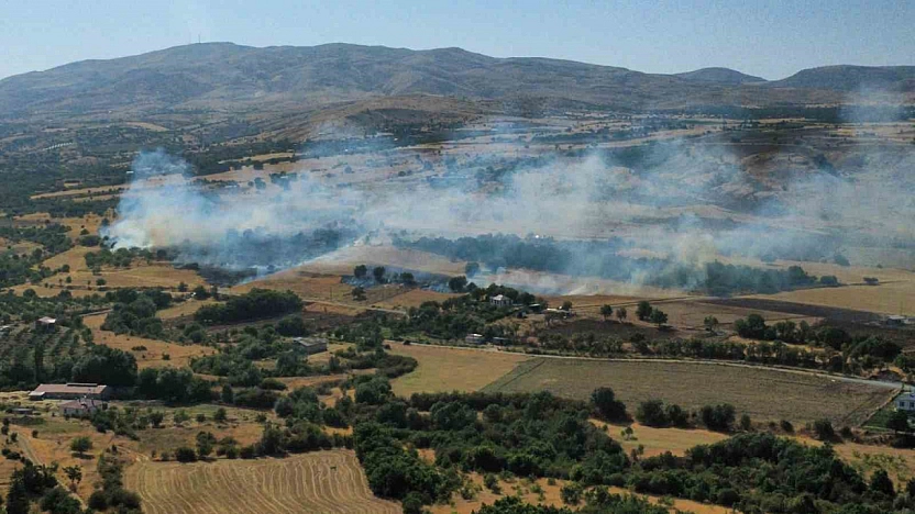 Elazığ'da Anız ve Bahçede Yangın Çıktı