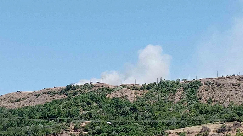 Elazığ'da Alevler Araziyi Sardı