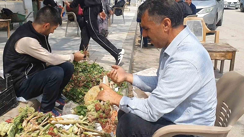 Elazığ'da Baharın Şifalı Otları Satışa Sunuldu