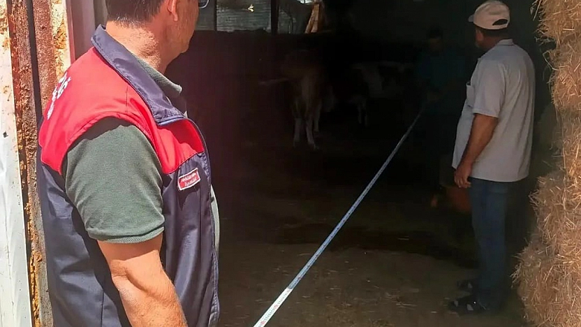 Elazığ'da Hayvancılık İşletmelerinde Kapsamlı Denetim