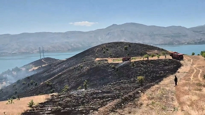 Elazığ'da Arazi Yangını Kontrol Altına Alındı