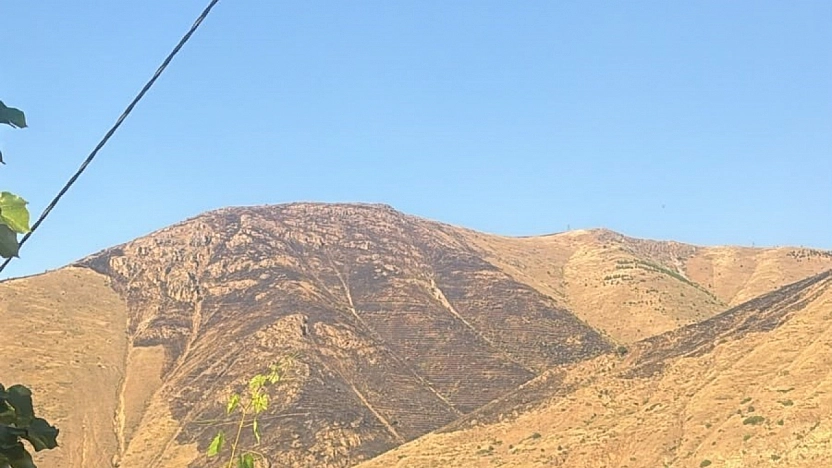 Elazığ'daki Dağlık Alan Yangını Kontrol Altına Alındı