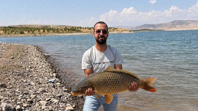Elazığ'da Dev Sazan Avı: Oltaya 10 Kiloluk Balık Takıldı