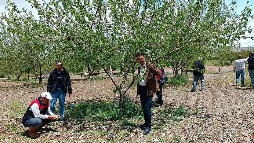Elazığ'da Dolu Yağışının Ardından Hasar İncelemesi