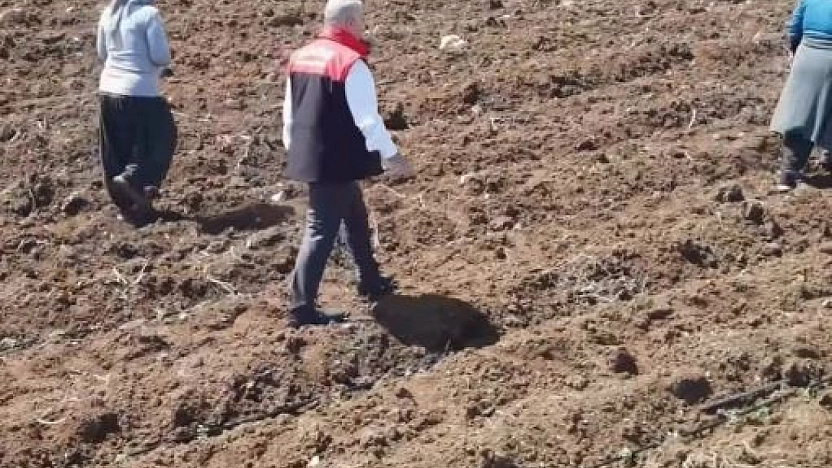 Elazığ'da Domates Üreticileri Yeni Sezona Başladı