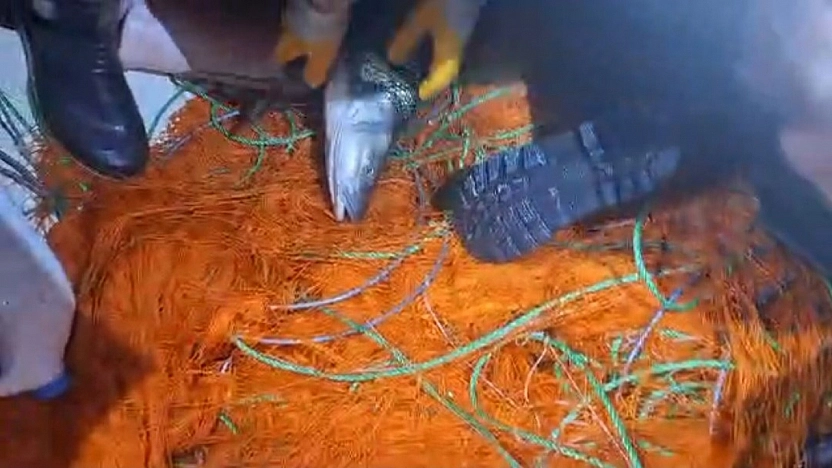 Elazığ'da Kaçak Avcılığa Darbe: 300 Metrelik Ağ Yakalandı