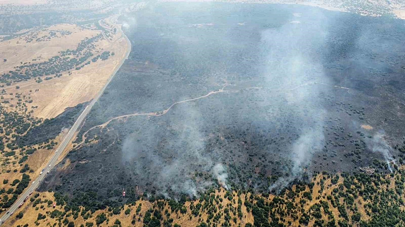 Elazığ'da Kırsal Alanda Çıkan Yangın Ormanlık Alana Sıçradı