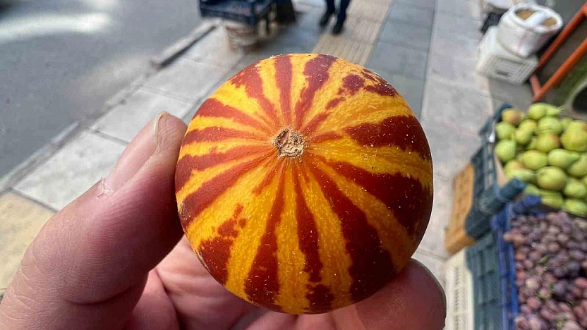 Elazığ'da Tezgâhları Kokulu Süs Kavunları Süsledi