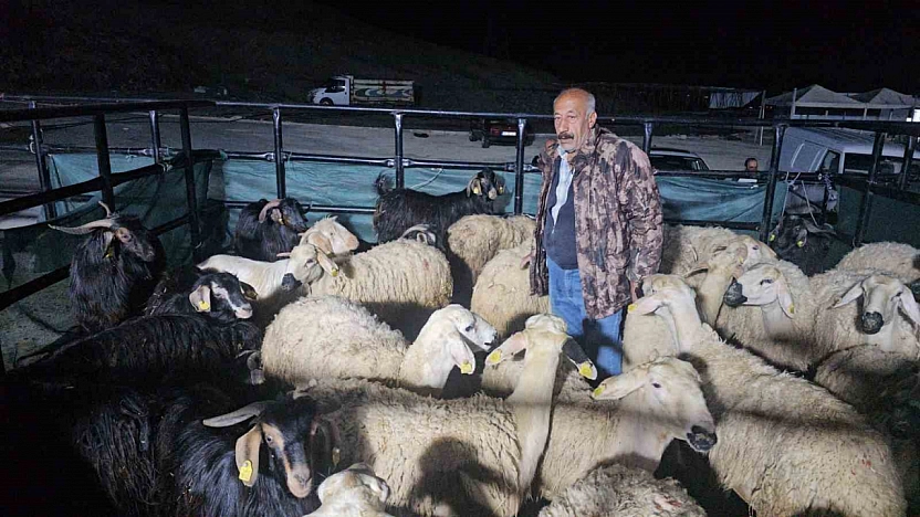 Kurban Pazarında Sabaha Kadar Mesai