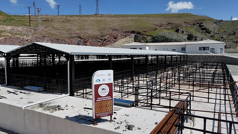 Elazığ'da Kurban Bayramı Hazırlıkları Başladı