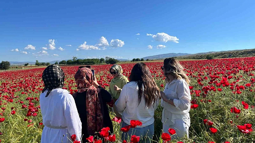 Elazığ'da Gelincik Tarlası Görsel Şölene Dönüştü