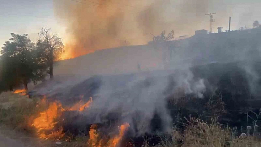 Elazığ'da Otluk Alan Yangını Kontrol Altına Alındı