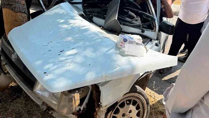 Elazığ'da Otomobil Ağaca Çarptı, 1 Kişi Yaralandı