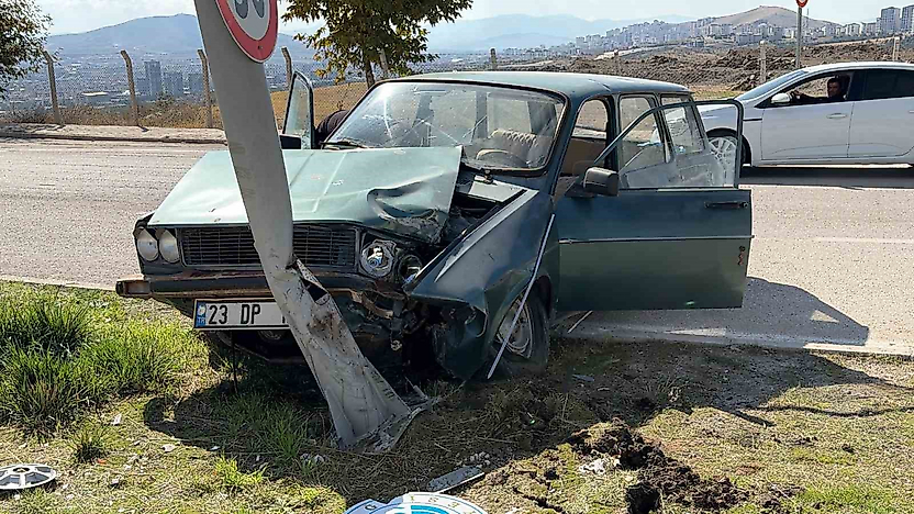 Elazığ'da Otomobil Aydınlatma Direğine Çarptı: 2 Yaralı