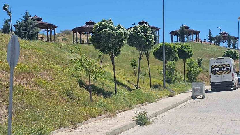 Elazığ'da Kuvvetli Rüzgar Hayatı Olumsuz Etkiledi
