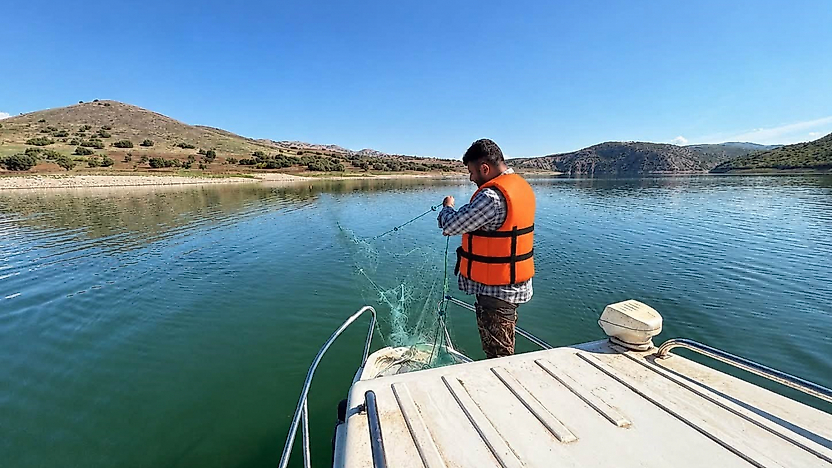 Elazığ'da Balık Popülasyonu İçin Sonbahar Mesaisi