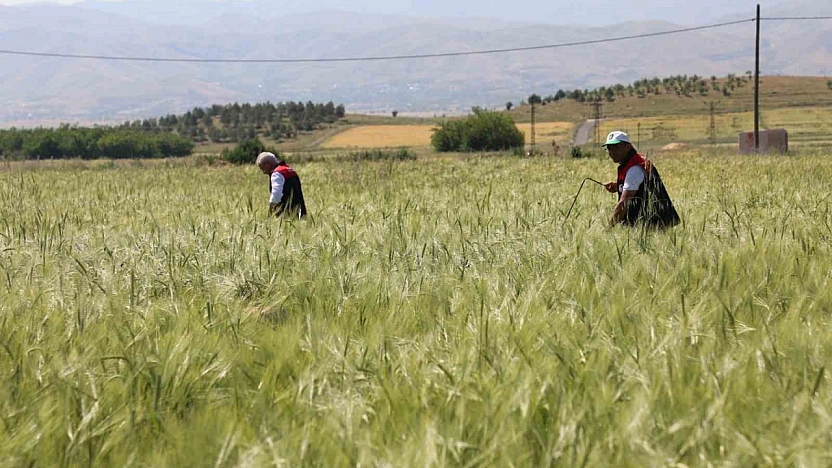 Elazığ'da Süne Sürveyi ve CBS Çalışmaları Sahada Değerlendirildi