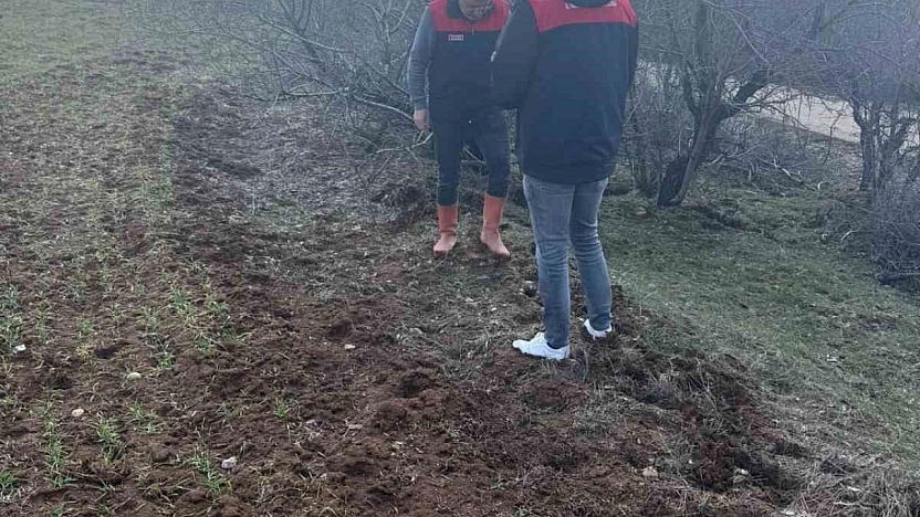 Elazığ'da Tarla Faresi Sürvey Çalışması