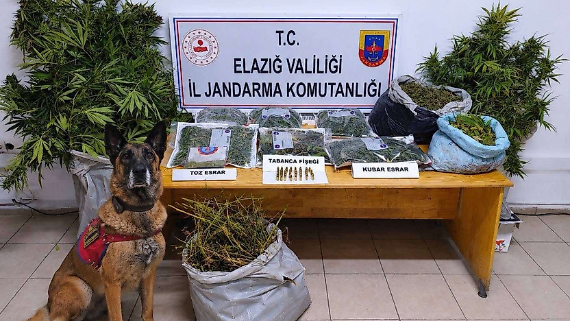 Elazığ'da Uyuşturucu Operasyonunda 3 Şüpheli Tutuklandı