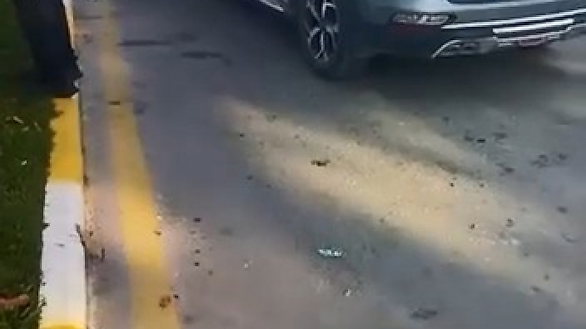 Elazığ'da Zincirleme Kaza: 1 Kişi Yaralandı