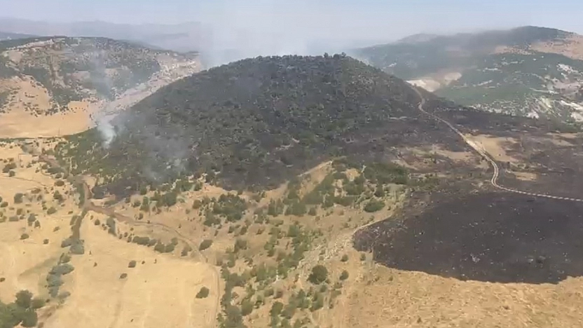 Elazığ'da Orman Yangını Söndürüldü
