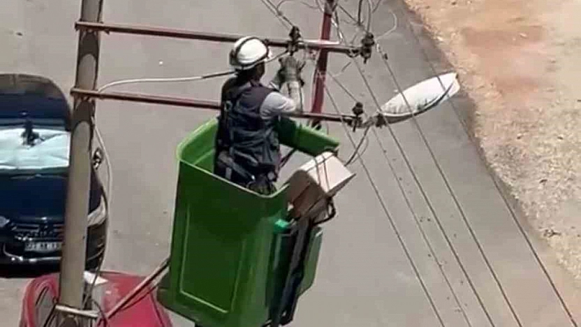 Elektrik Direğinde Mahsur Kalan Kuş Kurtarıldı