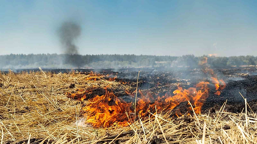 Fırat EDAŞ'tan Anız Yangınlarına Karşı Önemli Uyarı