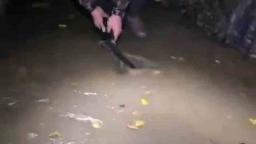 Hazar Gölü'nde Kampçılar Fırtınaya Yakalandı