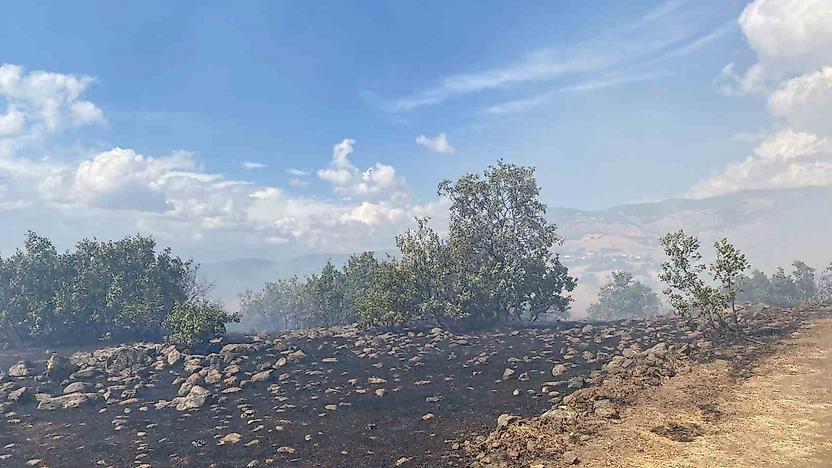 Karakoçan'da Yangın Kontrol Altına Alındı