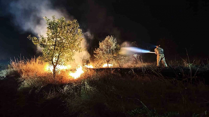 Kırsal Alandaki Yangın Ormanlık Bölgeyi Sardı