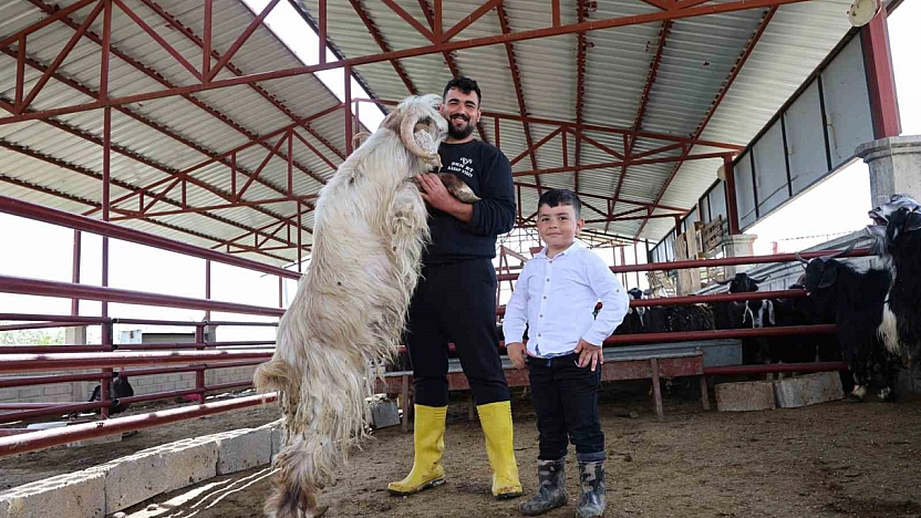 140 Kilogramlık Keçi Kurban Pazarının Gözdesi Oldu