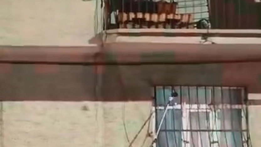 Penceredeki Yılan Paniğe Neden Oldu