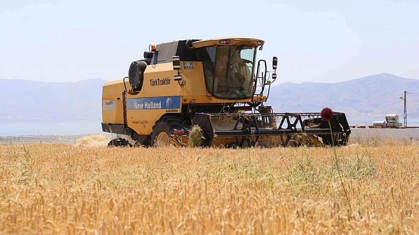 Aşırı Yağışlar Arpa Verimini Olumsuz Etkiledi