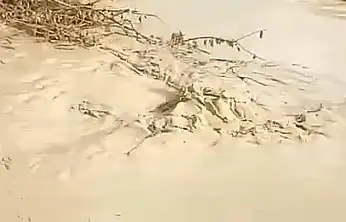 Baskil'de dereler taştı