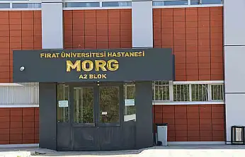 Elazığ'a üzüm almak için geldi, hayatını kaybetti