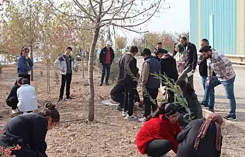 Elazığ'da Yeşil Vatan Seferberliği'ne anlamlı katkı sunuldu