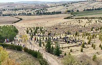Elazığ'da Doğu Türkistan ve Filistin için fidanlar toprakla buluşturuldu