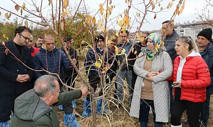Elazığ'da ağaç budama ve aşılama eğitimi verildi.