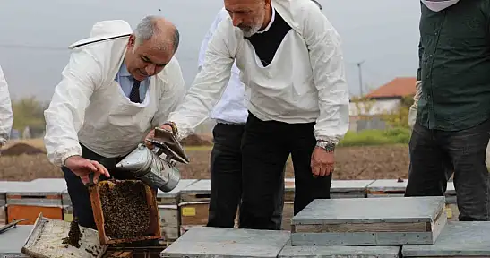 Elazığ'daki arı kovanları üzerinde incelemeler yapıldı.