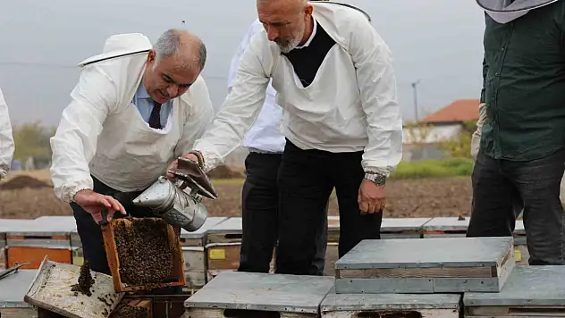 Elazığ'daki arı kovanları üzerinde incelemeler yapıldı.