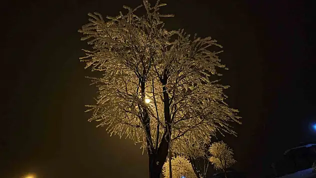 Elazığ'da ağaçlar kırağıyla kaplandı.