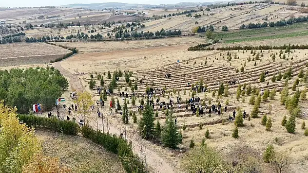 Elazığ'da Doğu Türkistan ve Filistin için fidanlar toprakla buluşturuldu