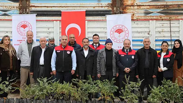 Elazığ'da sumak üretimi her geçen gün artış gösteriyor.